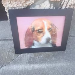 Framed Beagle with Glasses Photo
