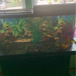 Fish Tank And Furniture