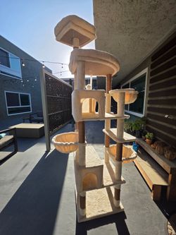 Cat House