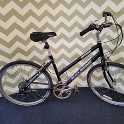 Raleigh SC30 Sport Comfort Bike