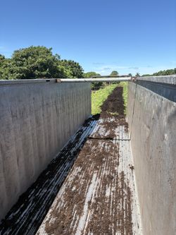 Mulch Orgánico