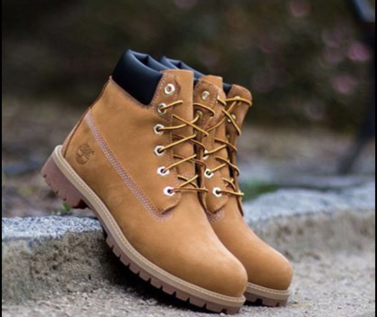 Brand *New* Waterproof Wheat 🌾 10061 Timberland Men's Boots