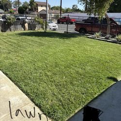 LAWNS /GARDENER