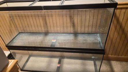 55 gallon tank