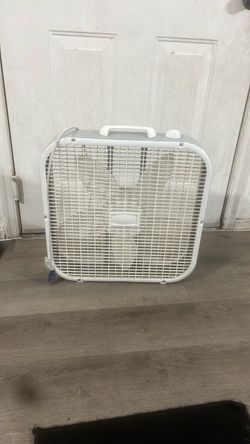 Fan