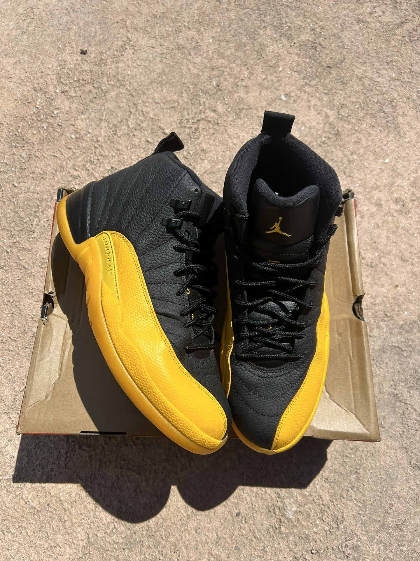 University Jordan 12s Size 13