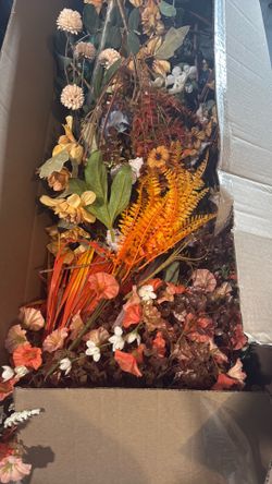 Flowers (different colora and style)