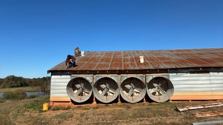 Large fans