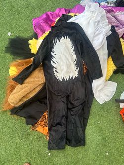 Cat in the hat costume