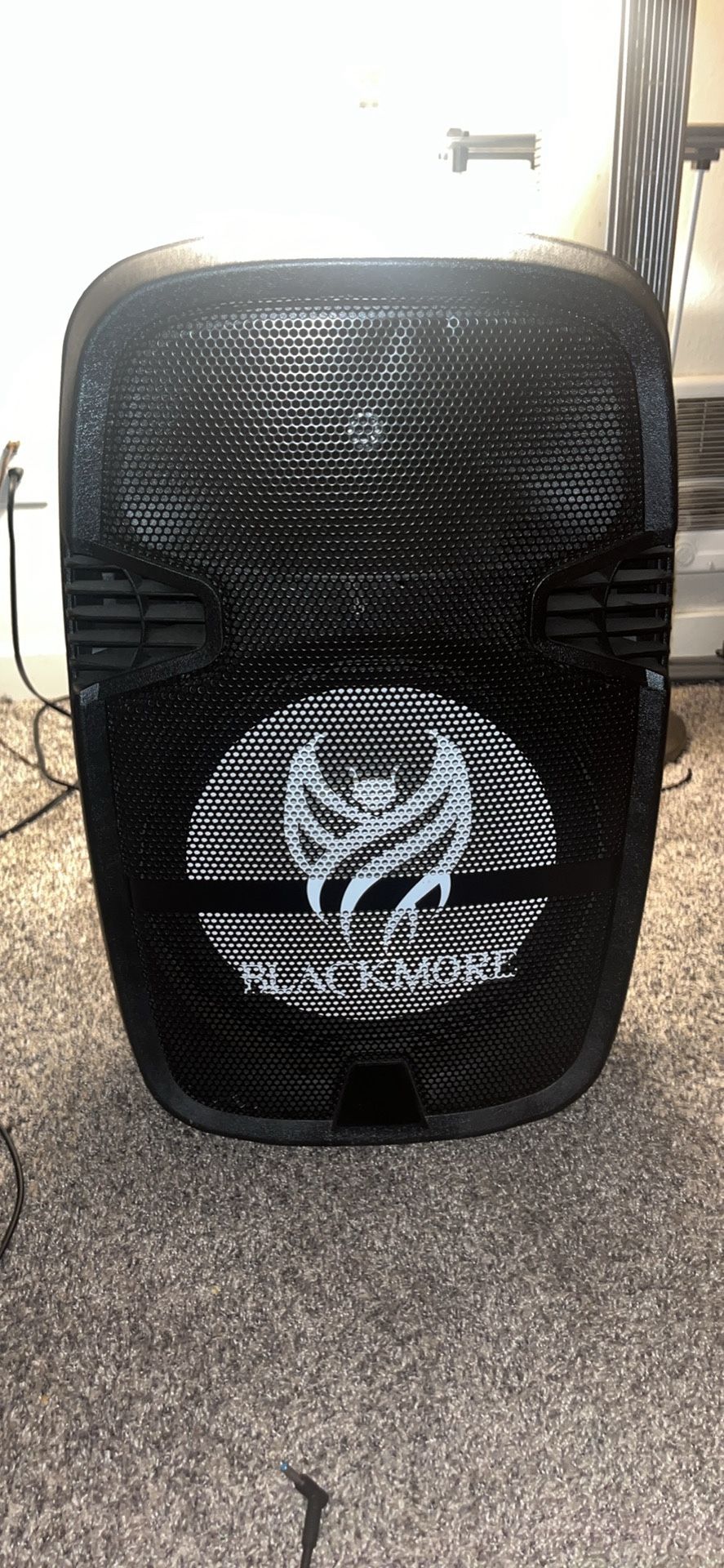 Bluetooth/aux Blackmore Party Speaker