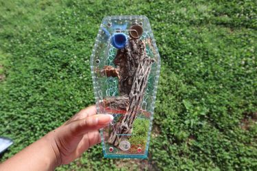 Coffin shaped jumping spider enclosure