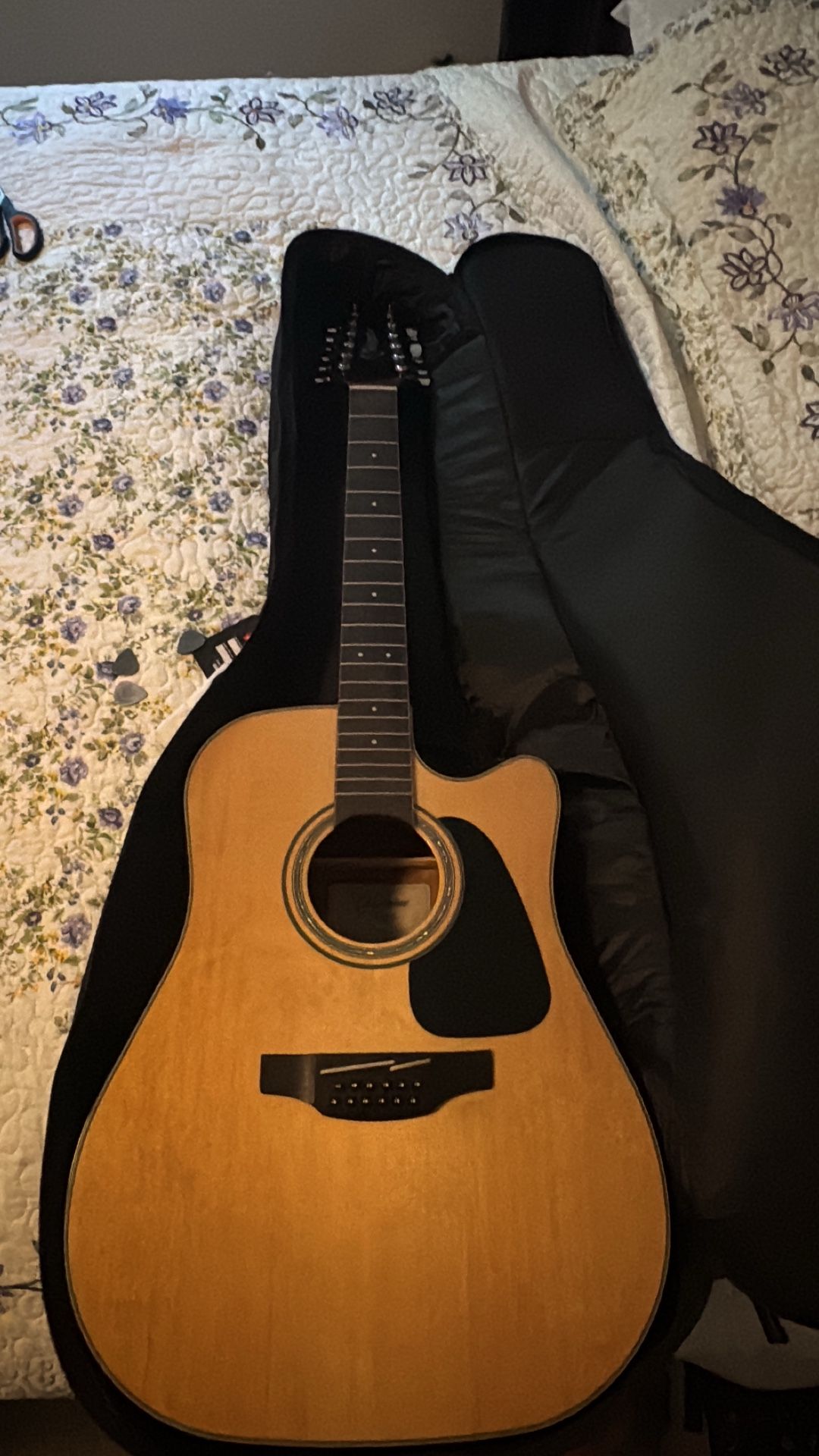 Takamine G series 12 string