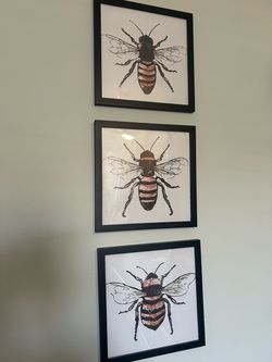Framed Bee prints