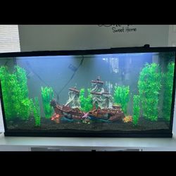 Complete Fish tank Set Up 