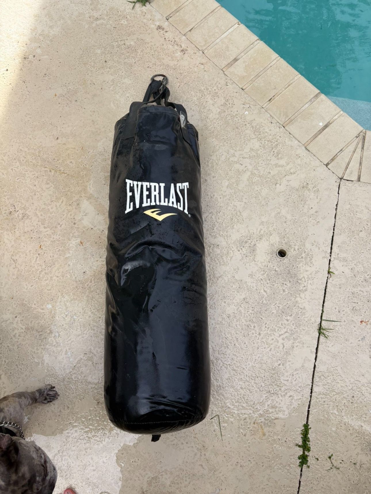 Everlast punching bag 75lbs