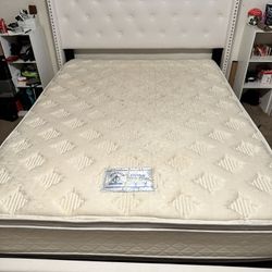 Queen Bed frame, Bed, & Box spring 