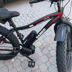 Framed Wolf trap E-bike