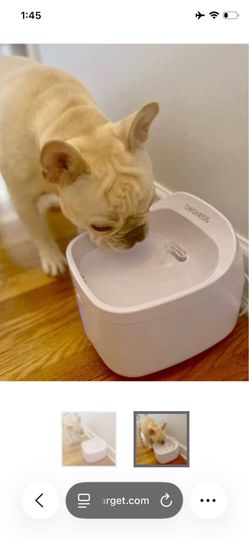 SMART FOUNDATION FOR PETS(CAT OR DOG)