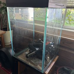 Vertical 10 gal Fish Tank