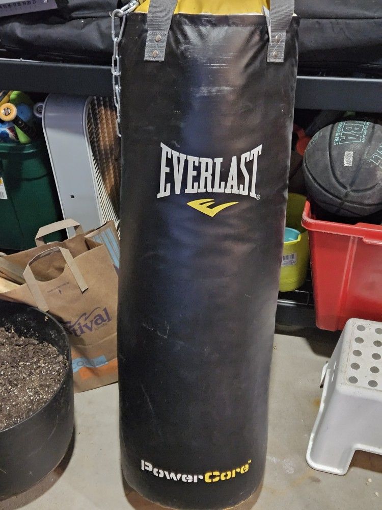 Everlast 80lb Powercore Heavy Punching Bag