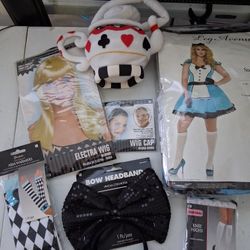 Alice In Wonderland Costume Wig Gloves Purse