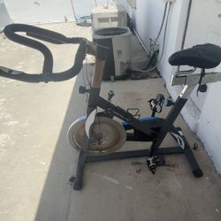 Exerpeutic bike