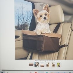 Small Dog Booster Seat
