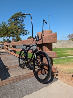 Cruiser bike custom