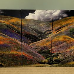 Beautiful Three Piece Wall Art