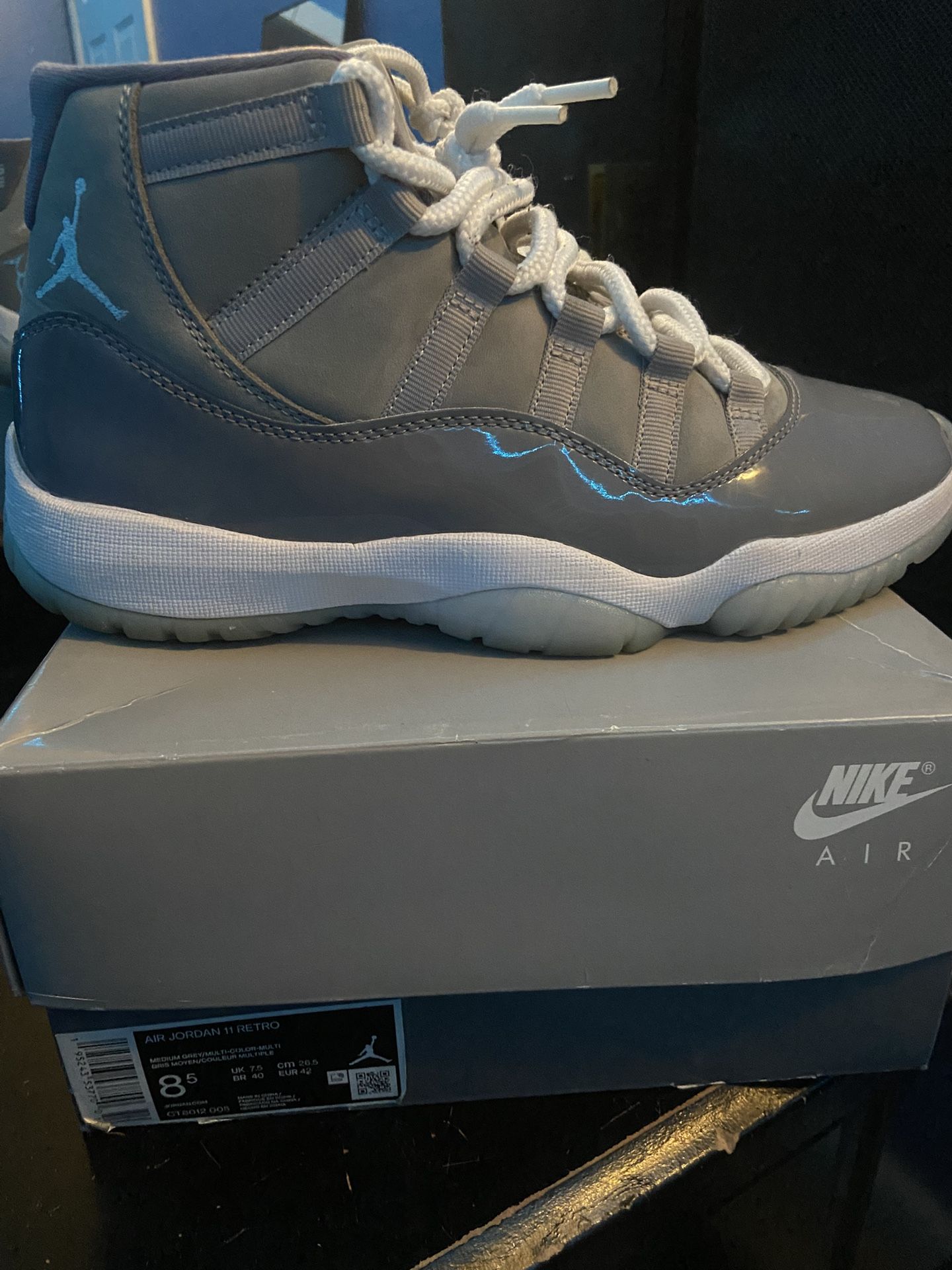 Jordan 11s Cool Grey