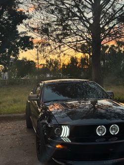 Ford mustang bullitt 5speed manual