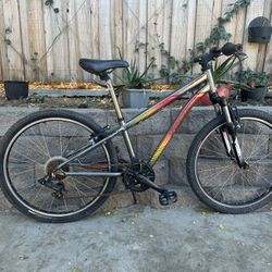 Specialized Hot Rock