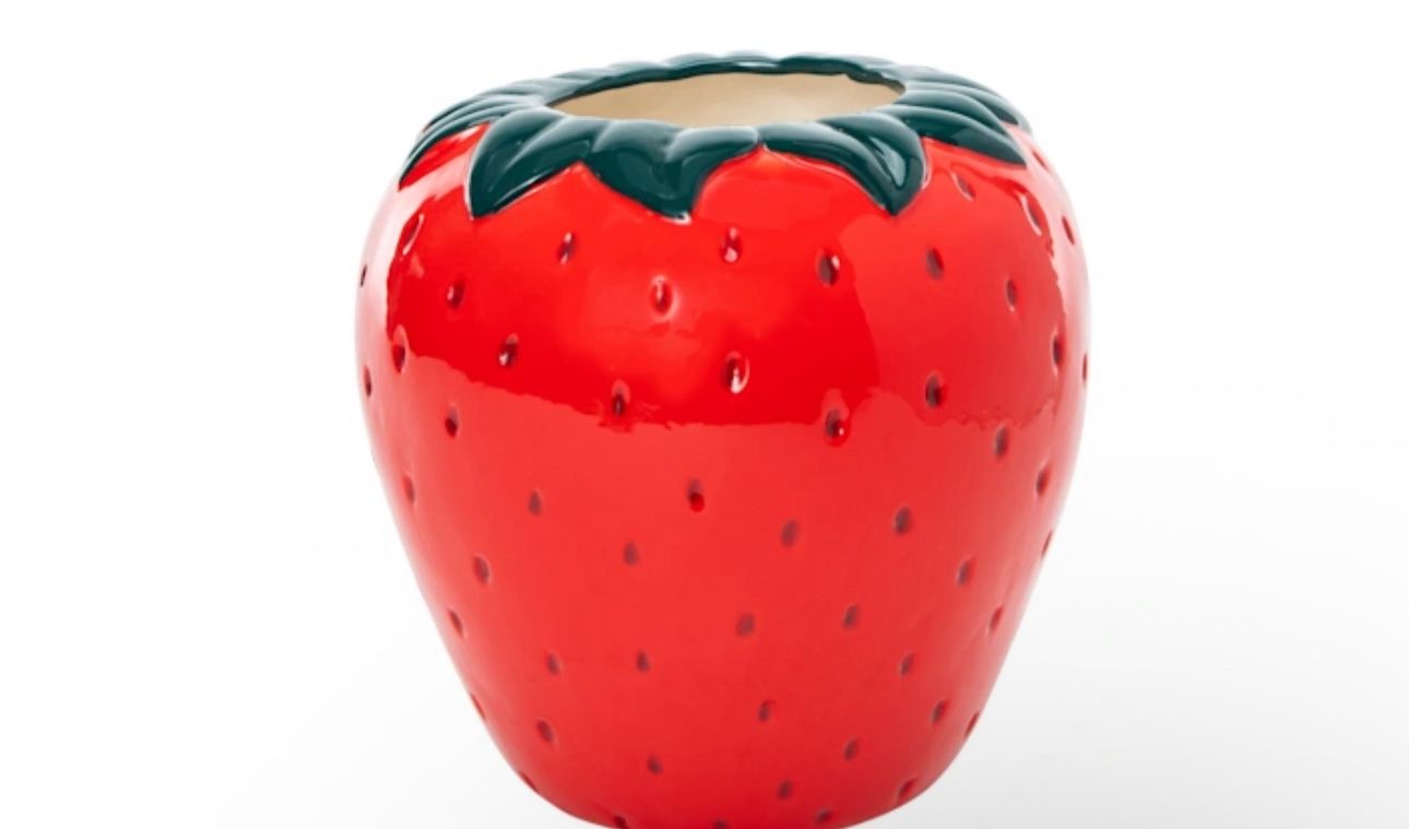 Strawberry Planter Pot