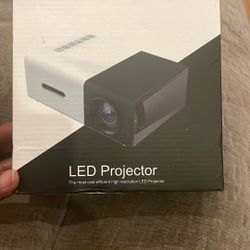 LED Mini Projector (works with cell phone)