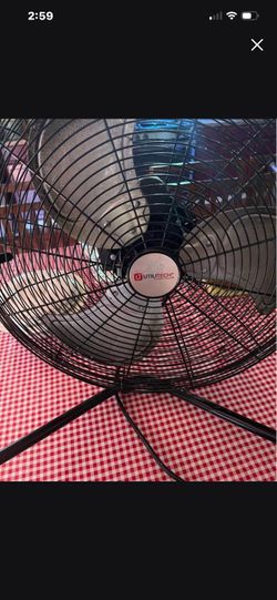 Black fan