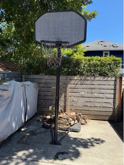 FREE Basketball hoop