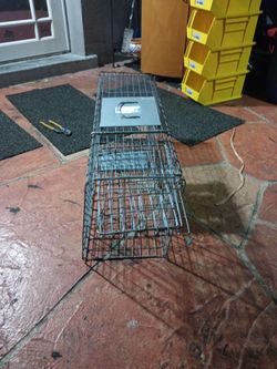 32 in. x 15 in. x 10 in. Medium Animal Trap
