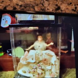 Barbie doll , perfect in case comes with case