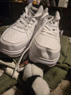 2-in-1 Skate/Tennies