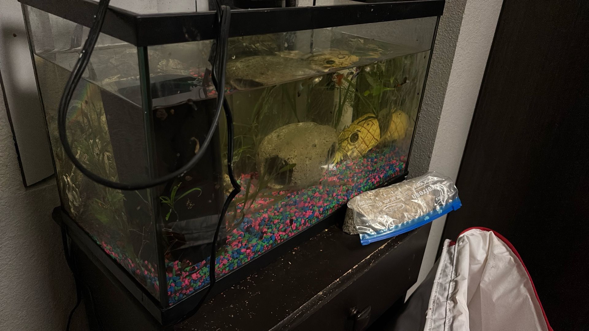 Fish Tank! Great Deal