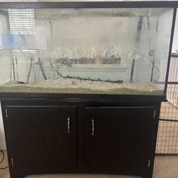 60 Gallon Fish Tank With Filter 