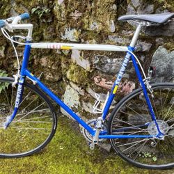 1987 Schwinn Tempo Racer XL