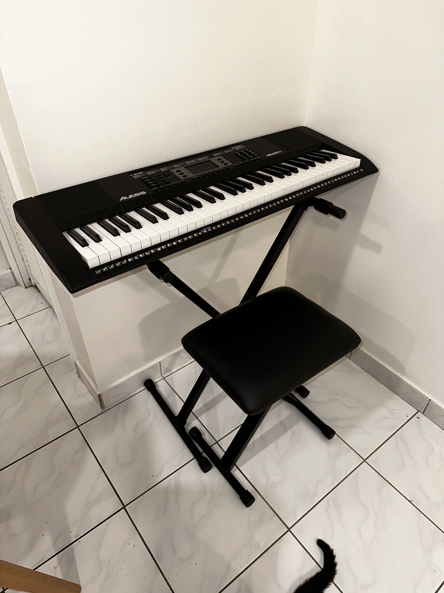 “Alesis Melody” 61 Key Keyboard Piano W/ Stool