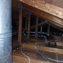 Insulation And Rodents Problem 