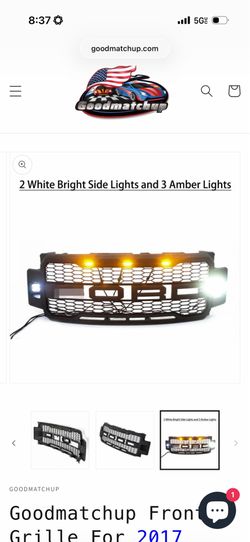 Ford F150 Grill