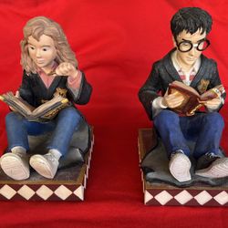 Harry Potter Hermione Granger book ends