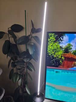 Govee floor lamp, works with alexa