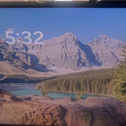 Dell Monitor 