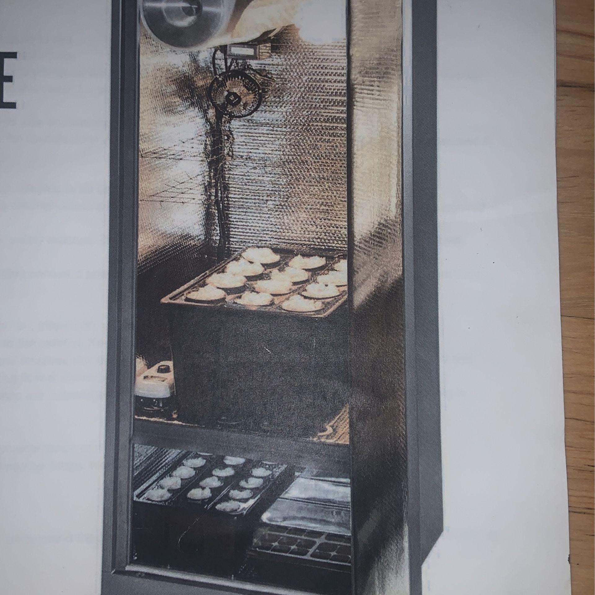 Cabinet Growing system