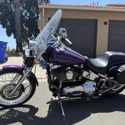 2001 Harley Dyna